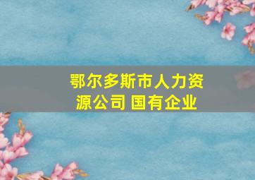 鄂尔多斯市人力资源公司 国有企业